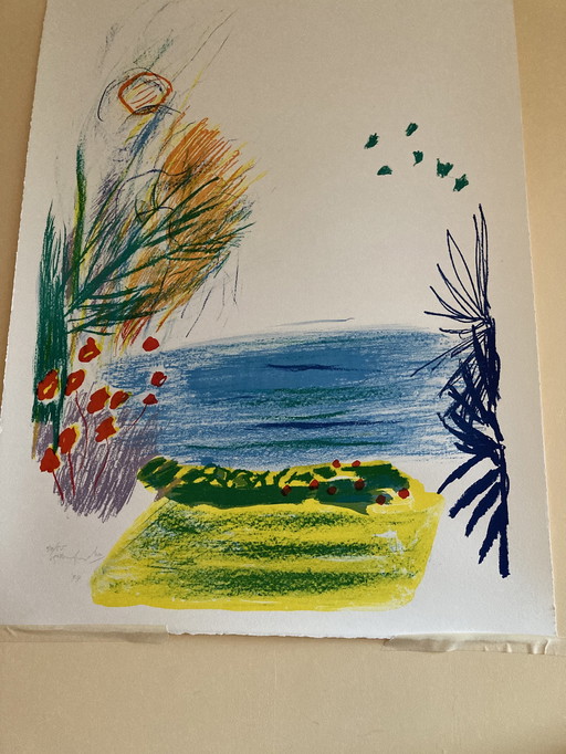 Pieter Defesche Lithographie