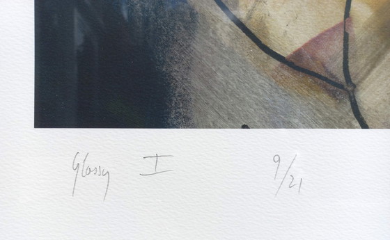 Image 1 of Rob Scholte - Glossy I, Piezographie (schön gerahmt, groß)