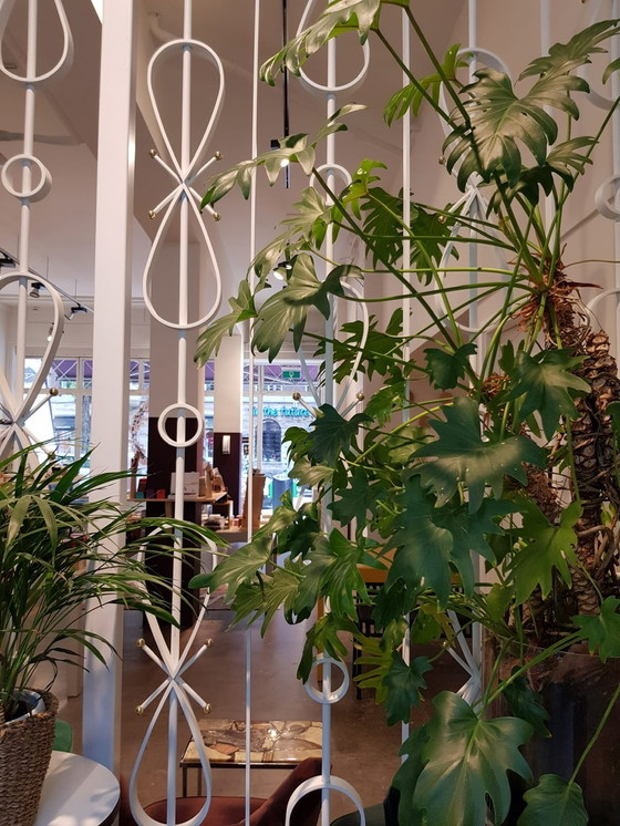 Image 1 of Jhonny van Beek Raumteiler