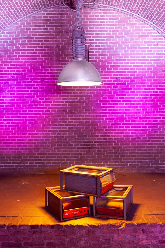 Image 1 of Große Industrielampen von Philips