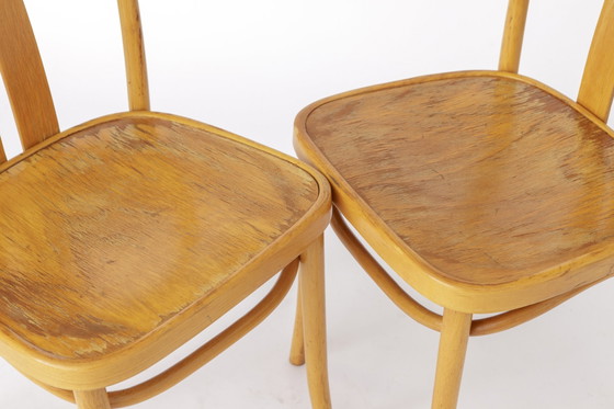Image 1 of 2 Vintage IKEA Stühle „Lena“ von Radomsko, 1970er Jahre, Bugholz
