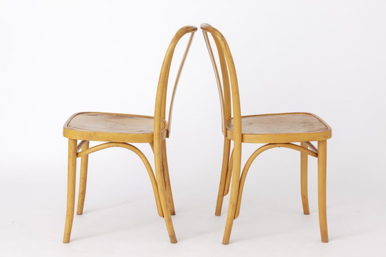 Image 1 of 2 Vintage IKEA Stühle „Lena“ von Radomsko, 1970er Jahre, Bugholz
