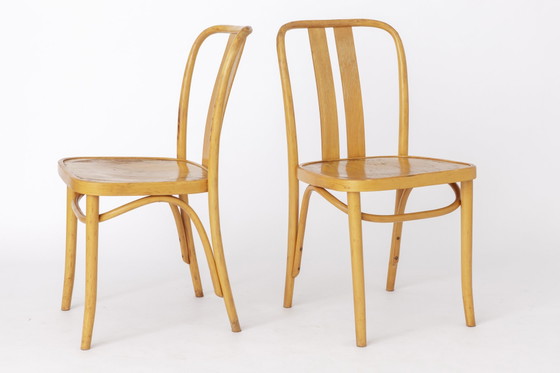 Image 1 of 2 Vintage IKEA Stühle „Lena“ von Radomsko, 1970er Jahre, Bugholz