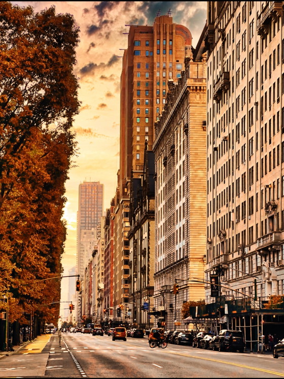 Central Park Fall Street – Fotografie, Paper